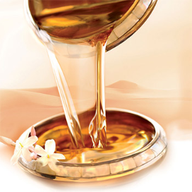 Argan del Marocco