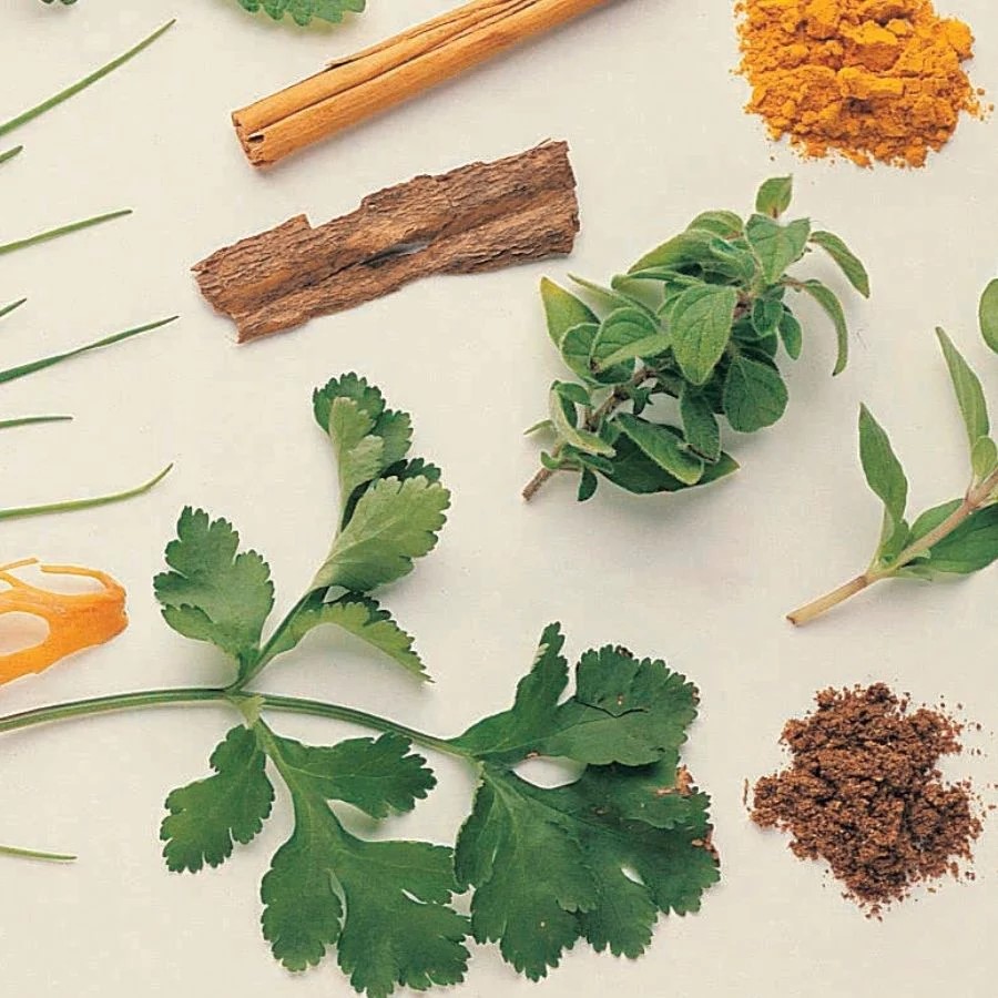 I Botanici Di Bv