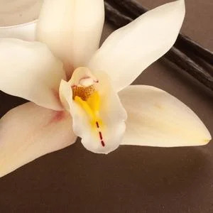 Vaniglia Nera