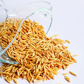 Avena e Prebiotico