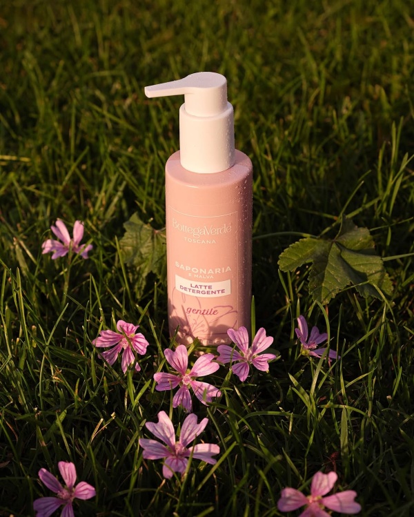 Lapte demachiant cu Sapunarita si Nalba - Saponaria, 200 ML - Img 2