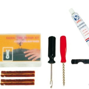 Kit reparatie pana Tubeless PAX MOTIVE 267020020