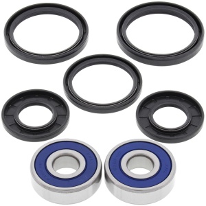 Kit rulmenti si garnituri roata All Balls Racing 25-1311