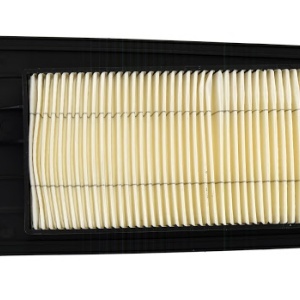 Filtru de aer NYPSO 100603360