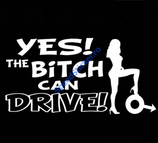 Sticker Yes The bitch can drive