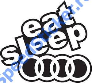 Sticker Audi Eat Sleap