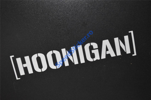 Sticker Hoonigan