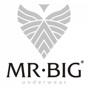Mr Big