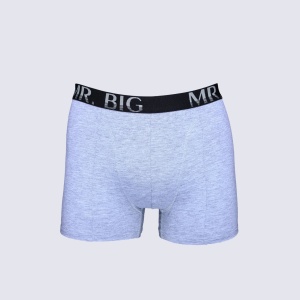 Boxer barbati Mr.Big model 201 Gri Melanj Deschis