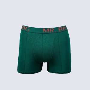 Boxer barbati Mr.Big model 201 Verde Inchis