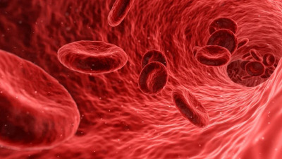 ANEMIE - CAUZE, SIMPTOME, DIAGNOSTIC