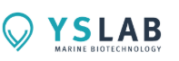YSLAB FRANCE