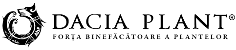 DACIA PLANT