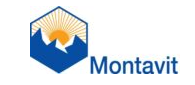 Montavit
