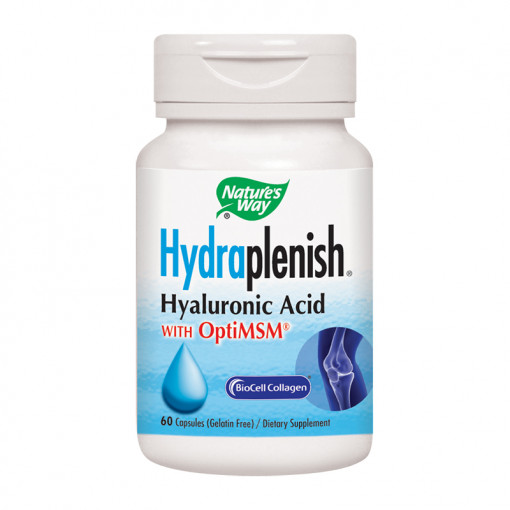 Hydraplenish +MSM x 60 capsule (Nature's Way)