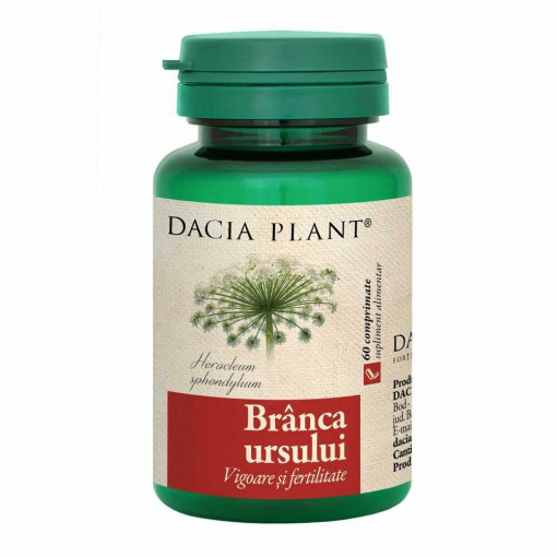 Branca Ursului x 60 comprimate (Daciaplant)