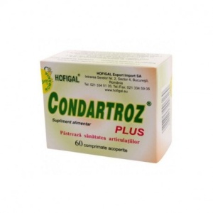 Condartroz Plus, 60 comprimate, Hofigal