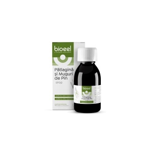 Sirop De Patlagina Si Muguri De Pin X 120 Ml