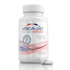 Viscalgic MSM, 120 capsule, Novatex Bioengineering