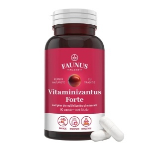 Vitaminizantus Forte, 90 capsule, Faunus Plant