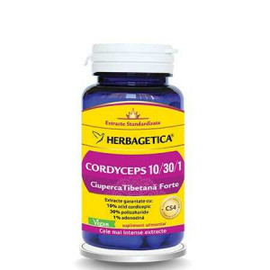 Cordyceps Forte, 60 capsule, Herbagetica