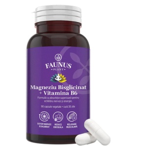 Magneziu Bisglicinat + Vitamina B6, 90 capsule, Faunus