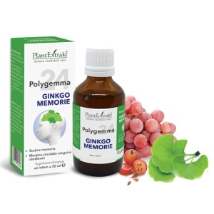 Polygemma 24 Ginkgo Memorie, 50 ml, Plant Extrakt
