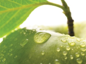Rezerva odorizant camera Spring Air Green Apple - Img 2