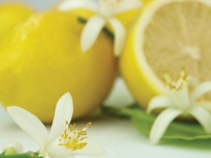 Rezerva odorizant camera Spring Air Lemon Blossom - Img 2