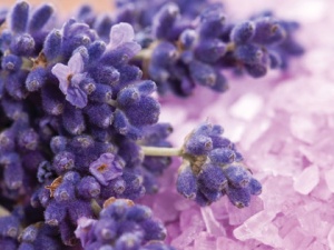 Rezerva odorizant camera Spring Air Lavender - Img 2