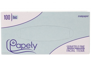 Servetele fine la cutie Papely 2straturi 100buc