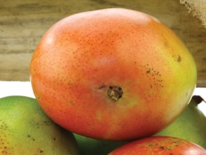 Rezerva odorizant camera Spring Air Mango Fresh - Img 2