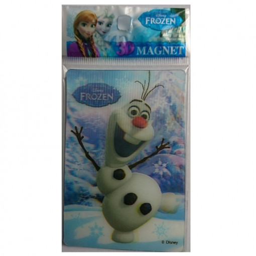 Magnet 3D Frozen