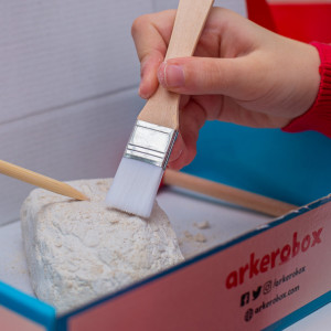 Arkerobox - Set arheologic educational si puzzle 3D, Efes - Biblioteca Celsus - Img 3