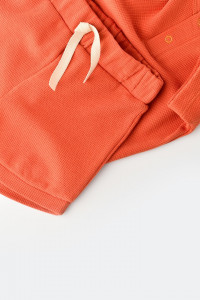 Set tricou cu pantaloni scurti - 100% bumbac organic - Scortisoara, BabyCosy (Marime: 6-9 luni)