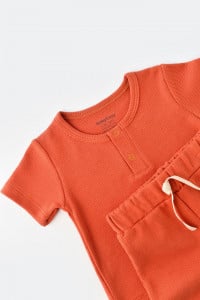 Set tricou cu pantaloni scurti - 100% bumbac organic - Scortisoara, BabyCosy (Marime: 12-18 Luni)