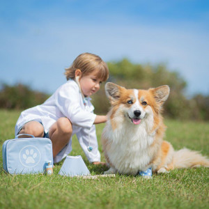 Setul micului veterinar - Img 2