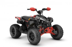 CAN AM RENEGADE 110 EFI XXC 2024
