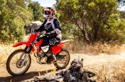 HONDA CRF125F 2025