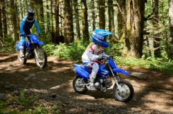 YAMAHA TTR 50 2026