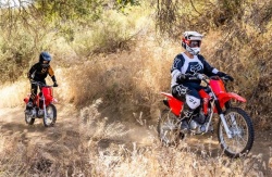 HONDA CRF125F 2025