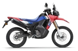 HONDA CRF300L Rally 2025