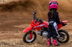 HONDA CRF50F 2025