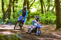 YAMAHA PW 50 2025