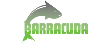 Barracuda