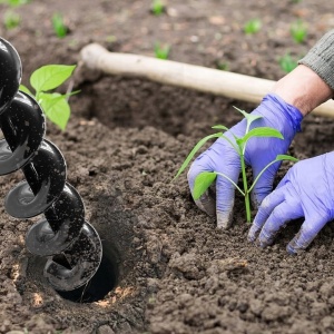 🌿 Foreză de grădină pentru plantare 4×22 cm – model XM83180 – echipament profesional