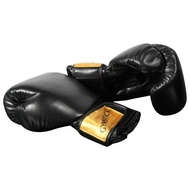 Gymstick boxing gloves