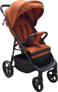 Carucior-Baby-Care-S508-Gold-3