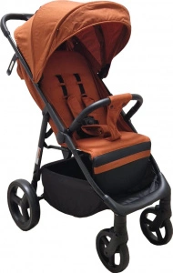 Carucior-Baby-Care-S508-Gold-3