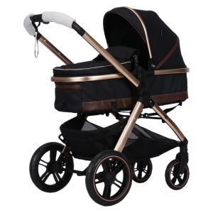 Carucior-2-in-1-X2-Black